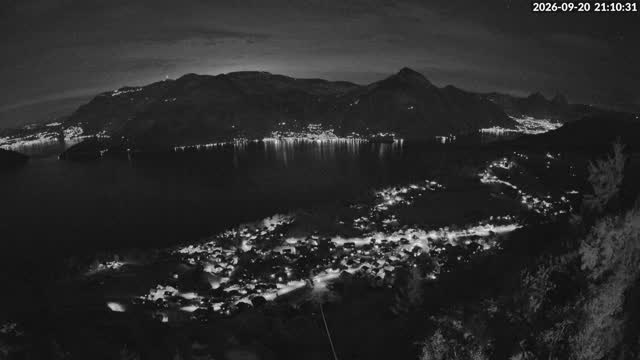 Waldibahn Webcam